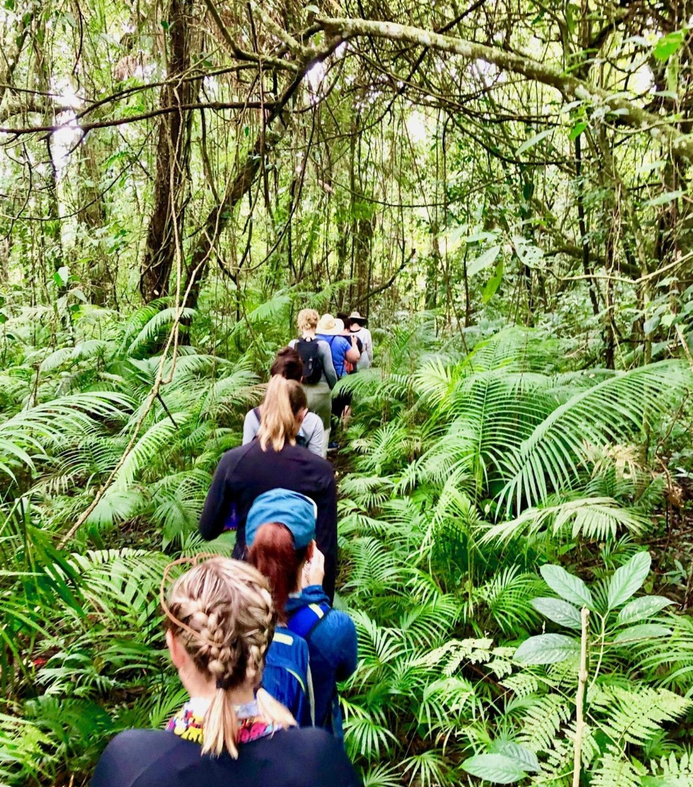 Sarinbuana Eco Lodge Main image